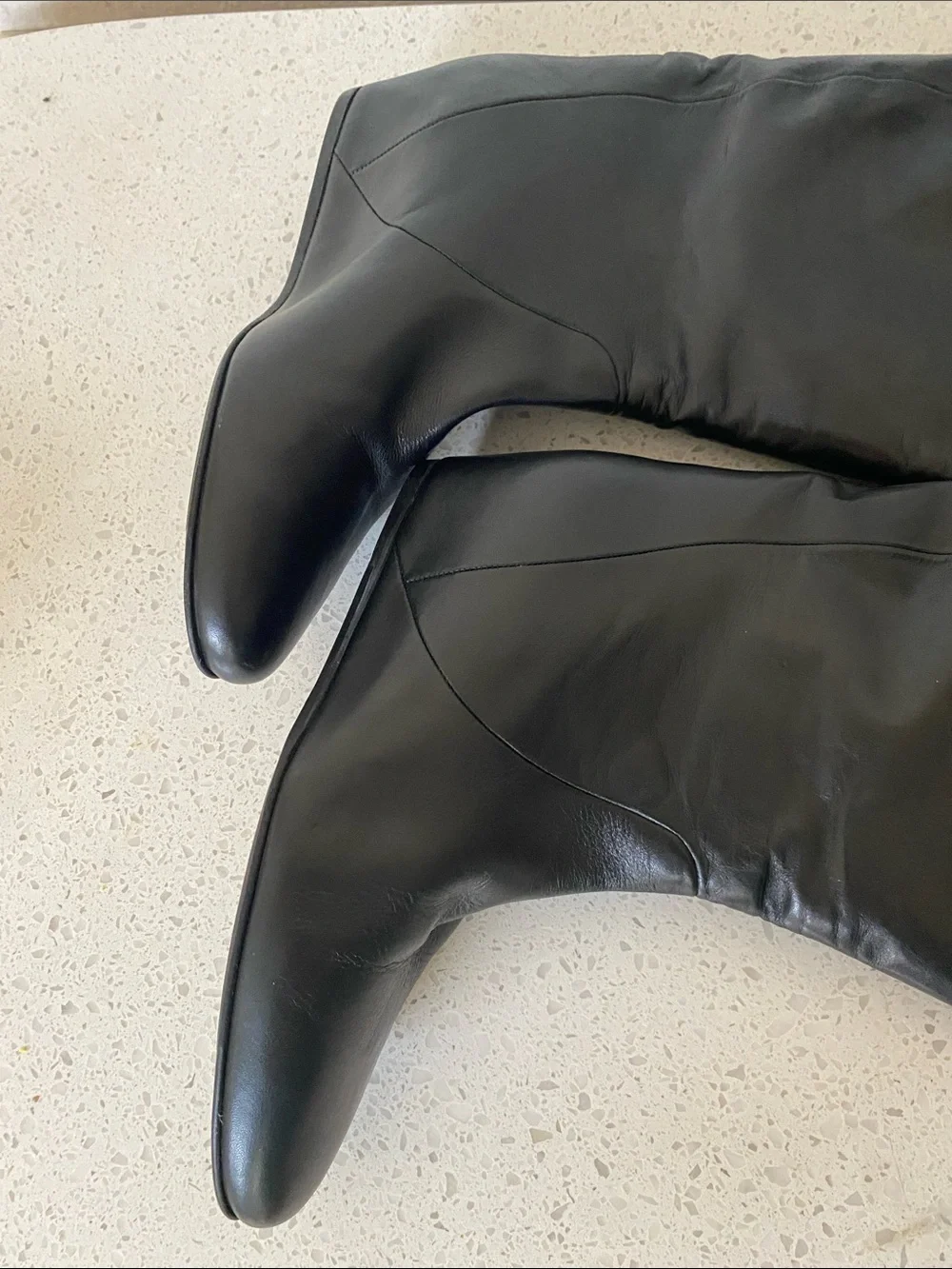 Lanvin sleek over